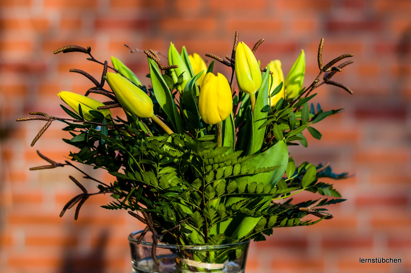 Lernstübchen - gelbe Tulpen.jpeg